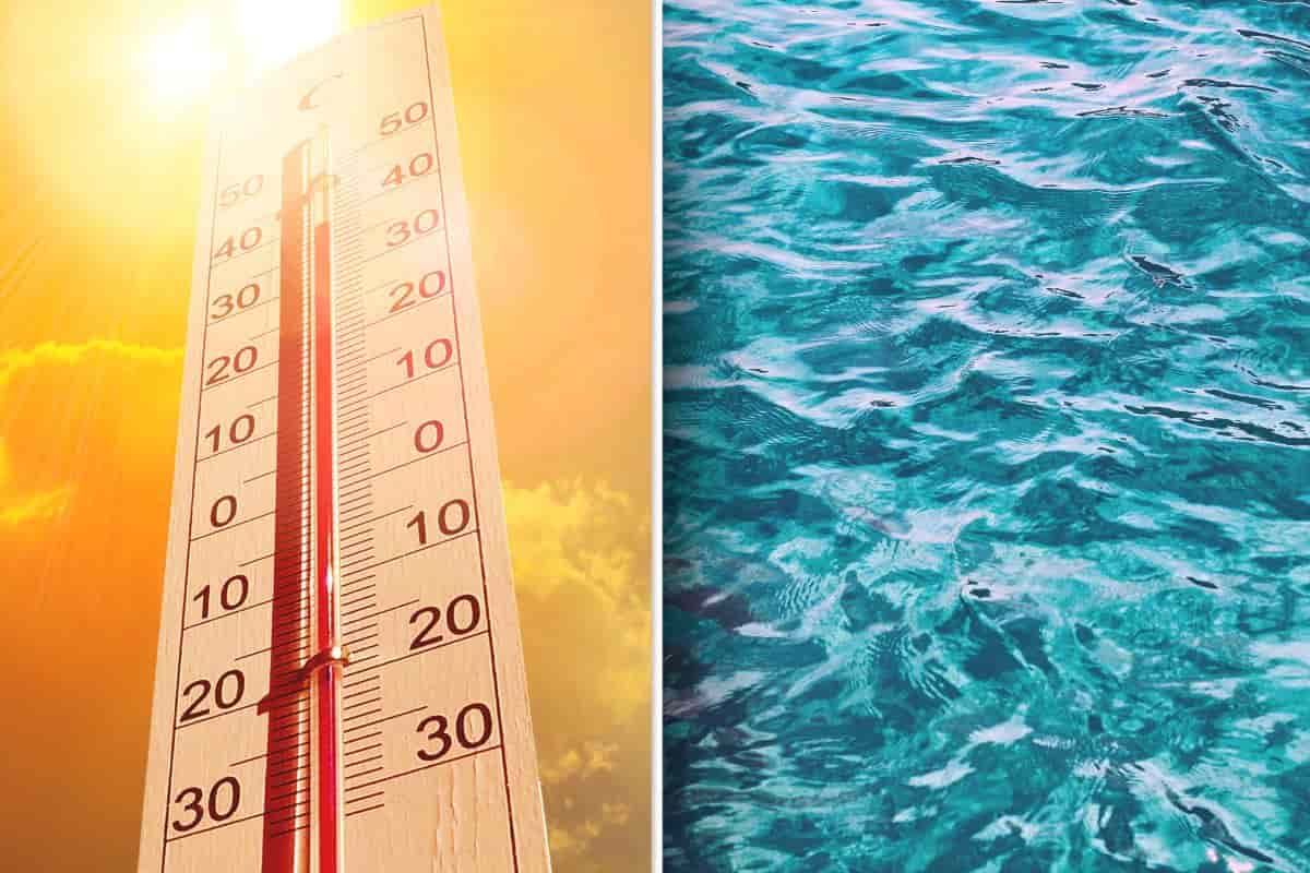 caldo trasforma mare pericolo acque panico