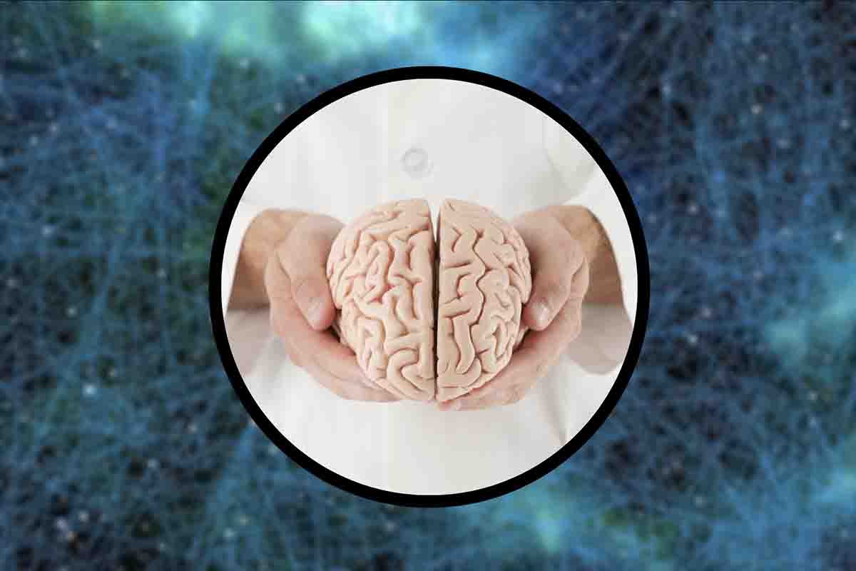 Nuova e inquietante scoperta sul cervello umano