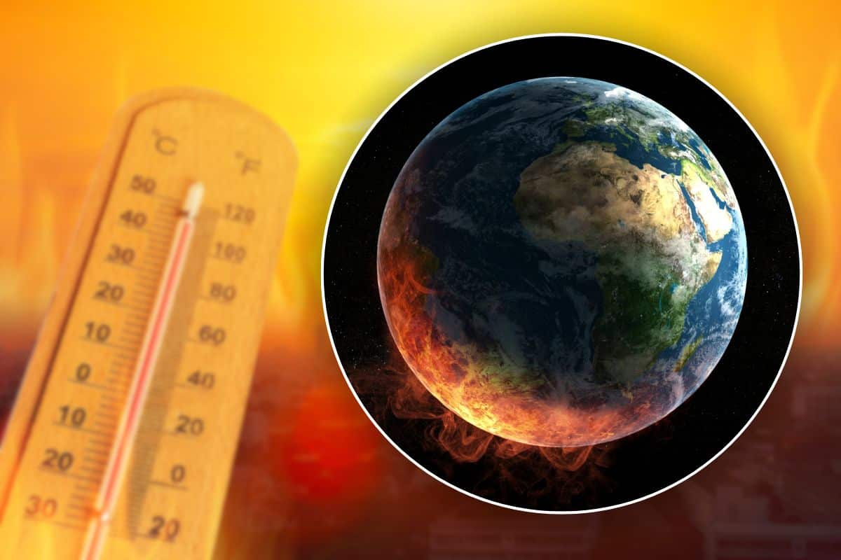 Il caldo estremo porterebbe (alla lunga) ad una nuova estinzione di massa