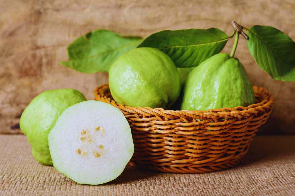 Conosci la Guava? Ecco perché dovresti mangiarla