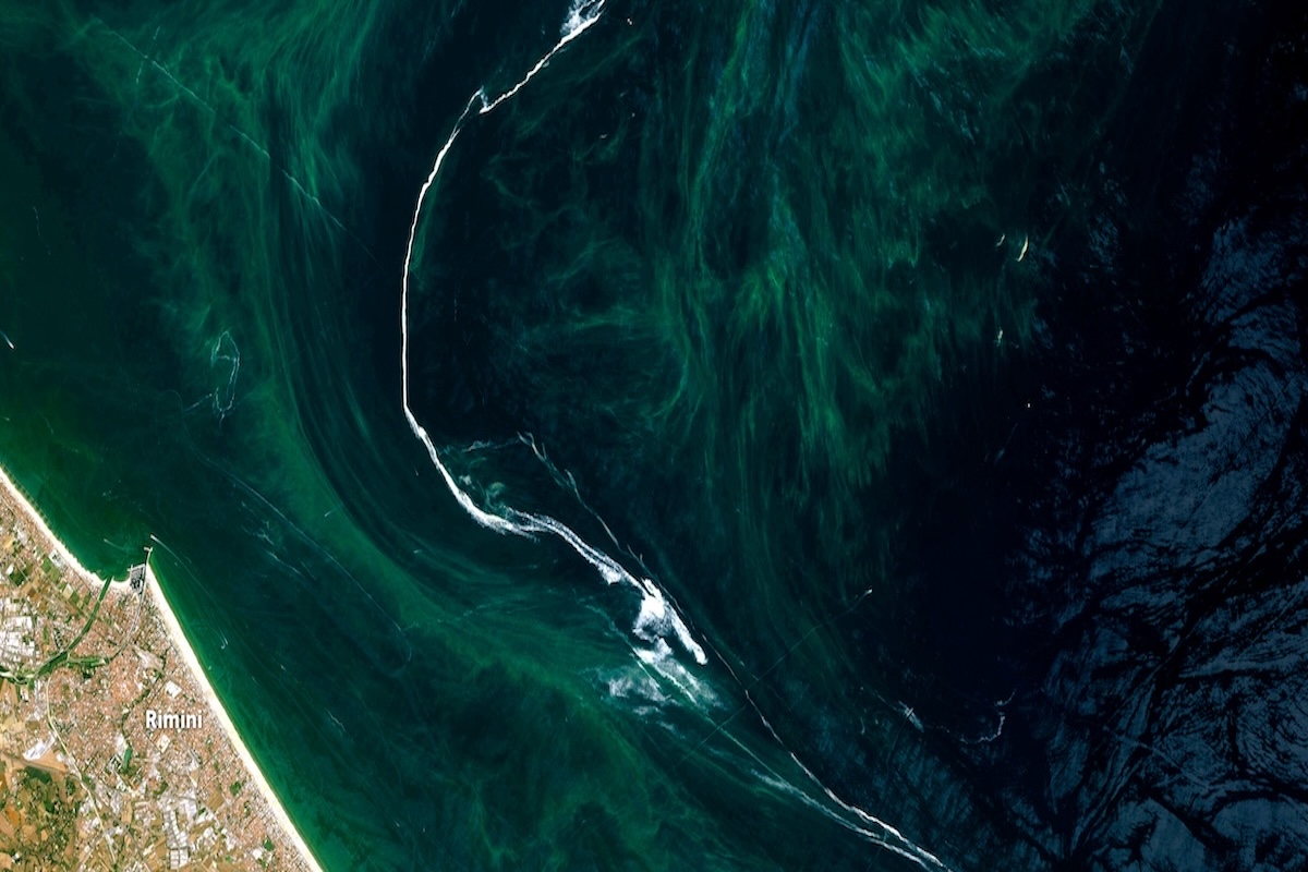 Mucillagine nell'Adriatico, di che cosa si tratta e quali sono i rischi